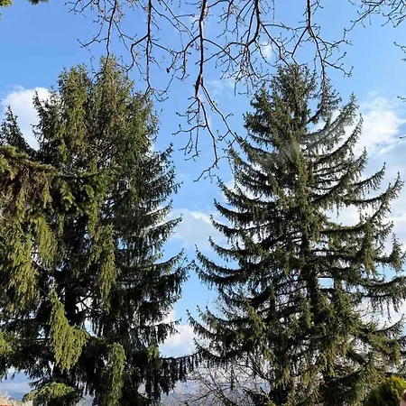 разбойна